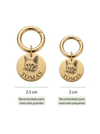 Placa personalizada para mascotas con fotografía