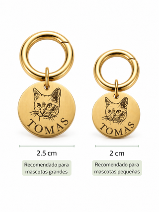Placa personalizada para mascotas con fotografía