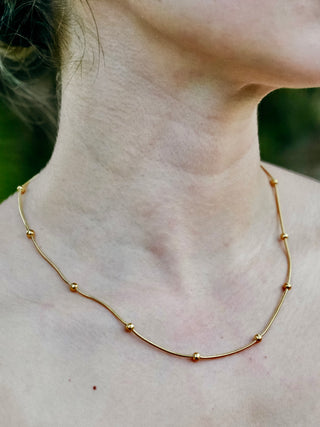 Collar Dots